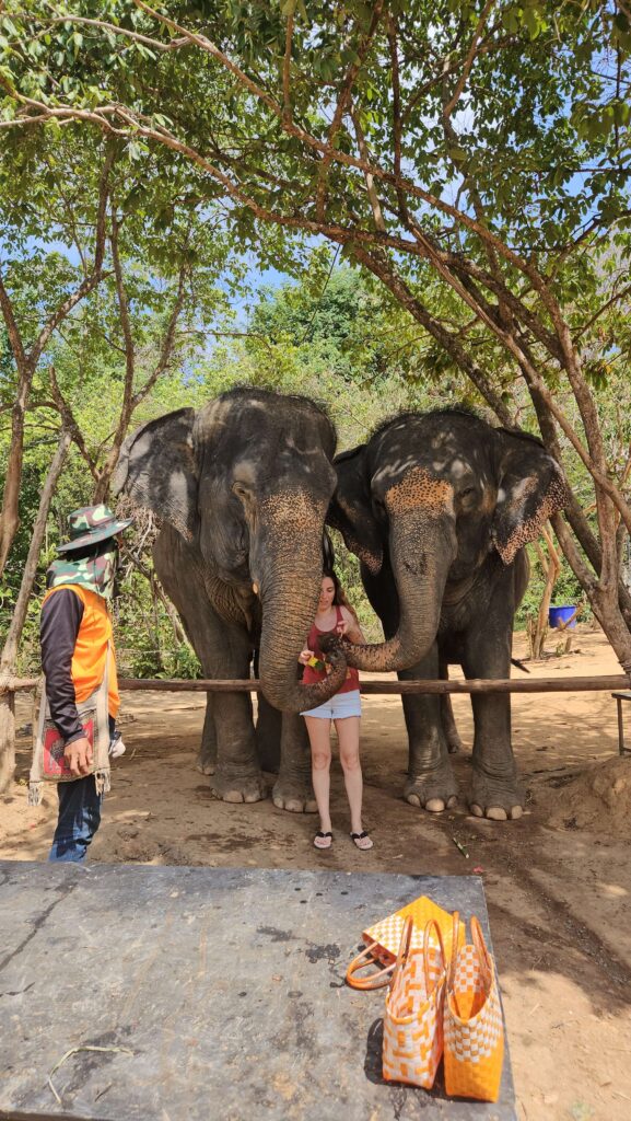 phuket-elephant-jungle-sactuary-experience