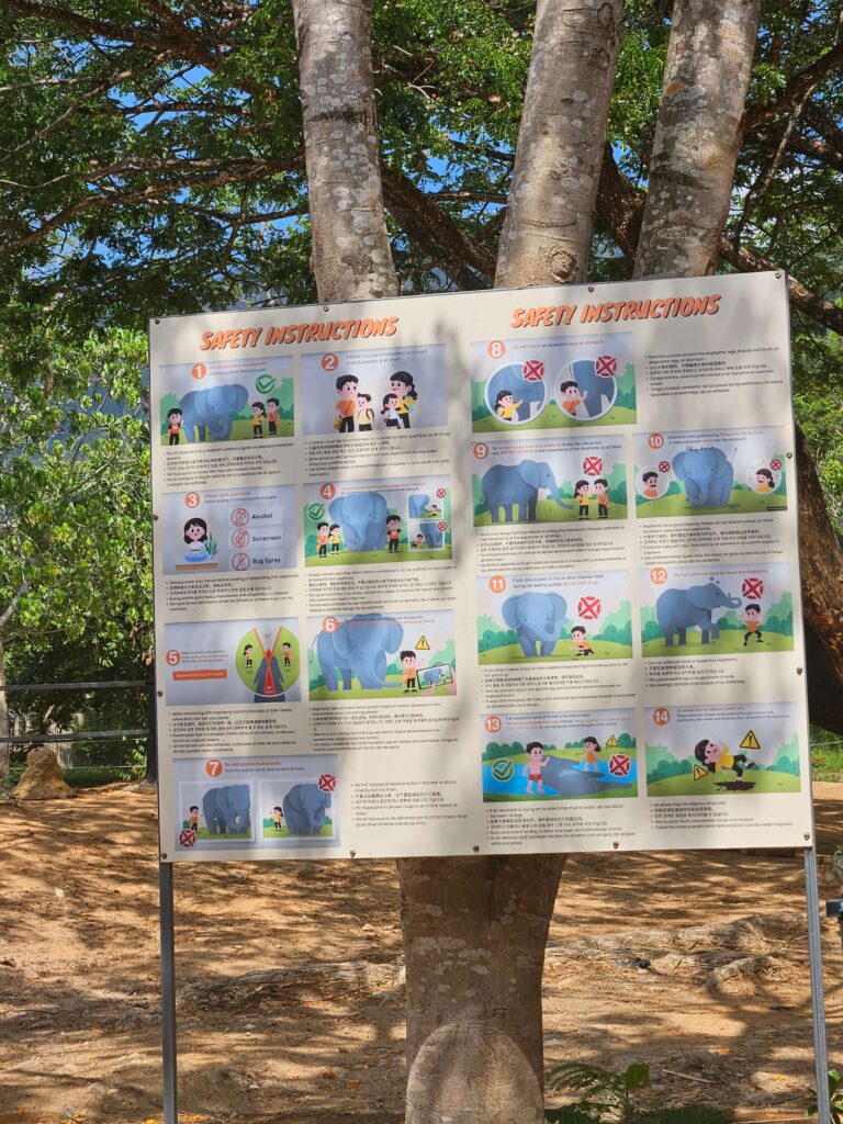 rules-of-phuket-elephant-sanctuary