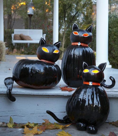 black-cats-halloween-ideas