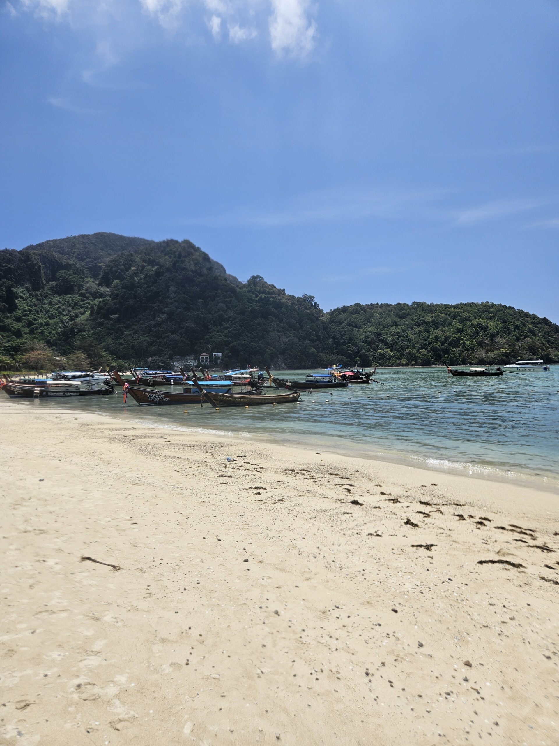 Can-you-swim-at Phi-Phi-island